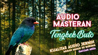 Download lagu #12 Audio Masteran Suara Burung Tengkek Buto   Jeda   Gemricik Air jernih mp3 Download lagu #12 Audio Masteran Suara Burung Tengkek Buto   Jeda   Gemricik Air jernih mp3