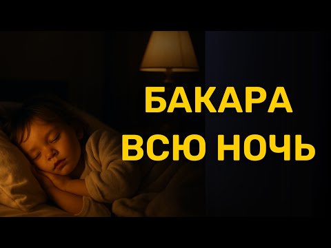 Аль Бакара Сура очень красивое чтение каждую ночь перед сном на всю ночь