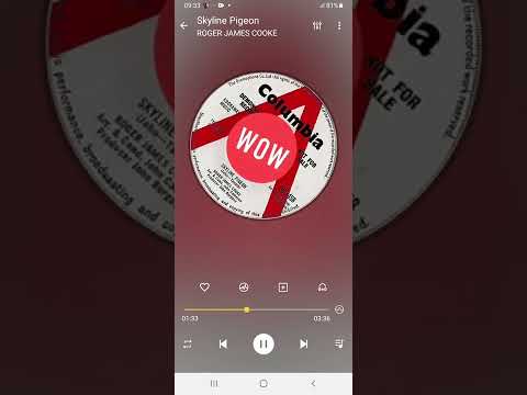 Skyline Pigeon ROGER JAMES COOKE