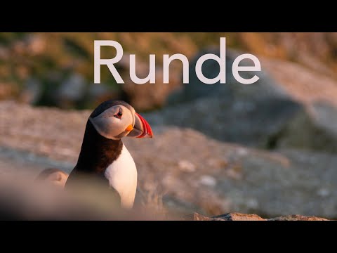 Runde Norway - April 2025