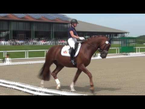BORDEAUX' BAROLO & Jennifer Hoffmann - 1. Sichtung zur WM der Jungen Dressurpferde 2016
