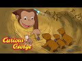 What Animals Live Underground Curious George Kids Cartoon Kids Movies