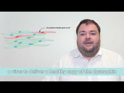 Duchenne Research Explained: Gene Therapy Episode 1