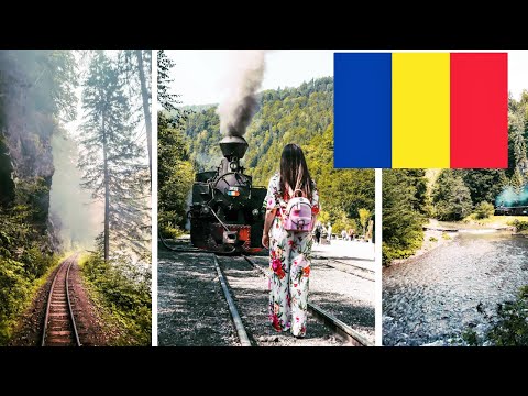 Mocanita forestry steam train in Maramures, Romania