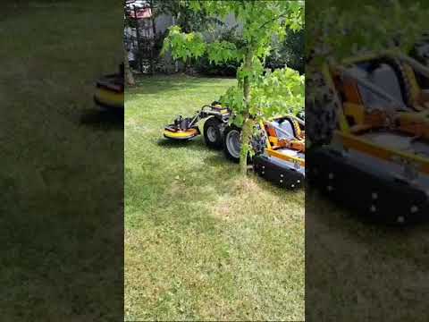 Raymo - tocator profesional electric