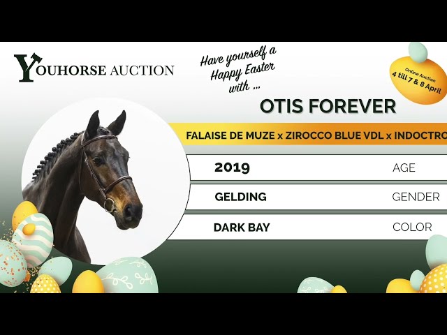 Otis Forever showvideo outdoor