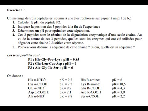 download lagu mp3 mp4 Exercices Corrigs Biochimie Protines, download lagu Exercices Corrigs Biochimie Protines gratis, unduh video klip Exercices Corrigs Biochimie Protines