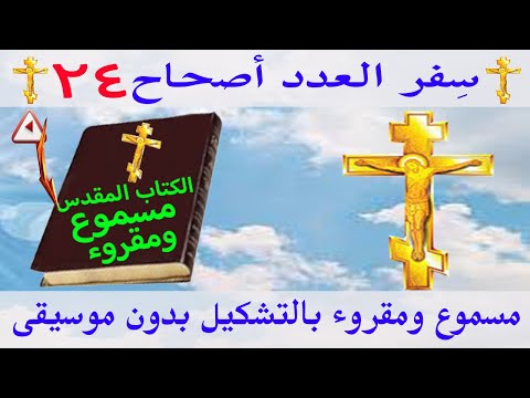 العدد 24