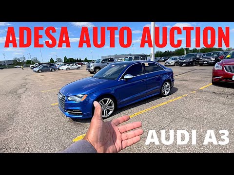 CAR AUCTION WALK AROUND @ ADESA AUTO AUCTION + TEST DRIVE OF 2020 AUDI S3 | CAR DEALER ONLY AUCTION
