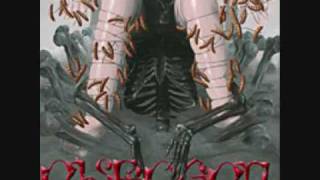 stahlschwarzschwanger - eisregen