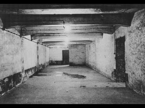 Auschwitz: How did the gas chambers work?