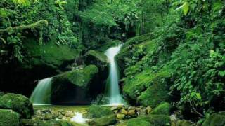 A Natural Thing, Earl Klugh