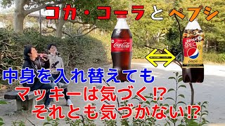 コカコーラとペプシの中身を入れ替えてもマッキーは気づく⁉気づかない⁉