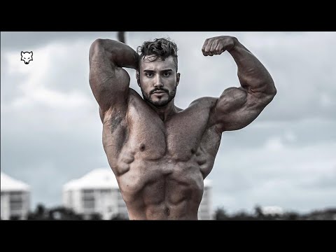 BAD WOLF 🐺 - Gabriel Zancanelli