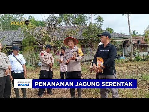 POLSEK DUSUN SELATAN TANAM JAGUNG DI DESA KALAHIEN DUKUNG KETAHANAN PANGAN