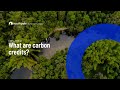 Carbon Credits Explained
