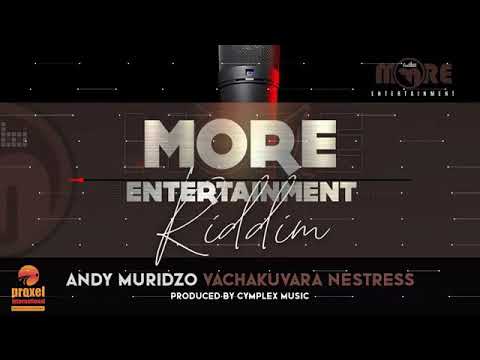 Andy Muridzo-Vachakuvara nestress