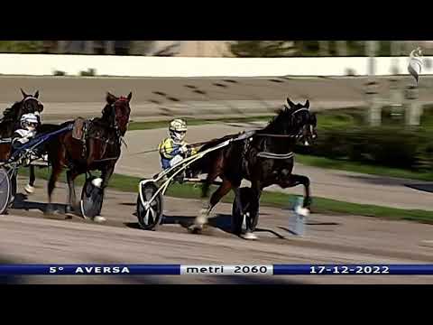 Aversa trotto 17 Dicembre 2022 - 5° Corsa