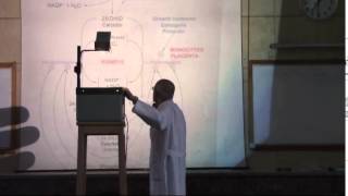 19) Dr.Rasheed 22 /4 /2015 [Vit A - Vit D]