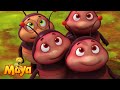 The Cutest Little Bugs Ever Maya The Bee