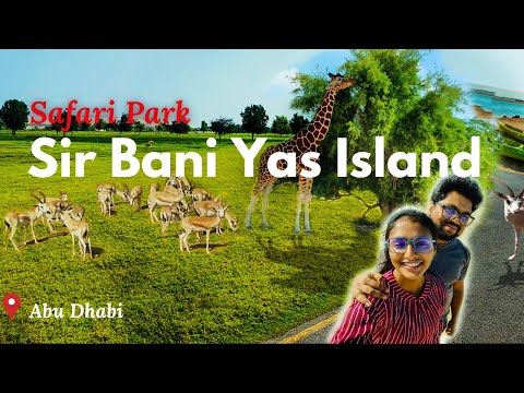 Sir Baniyas Island tour 2024 | Safari Park in Abu Dhabi | UAE AE
