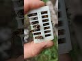 пчелиные клеточки с Алиэкспресс плохого качества.