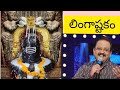 Lingashtakam By SP Balu Brahma Murari Surarchita Lingam By SP Balu
