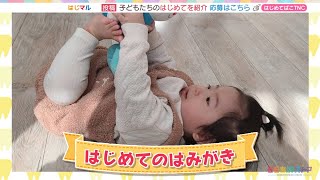 動画のサムネイル