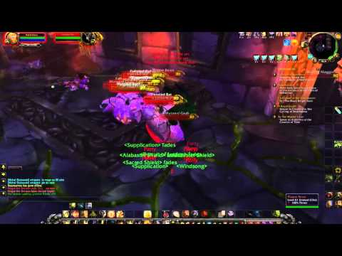 Level 80 Paladin solo - Naxxramas Plague Quarter