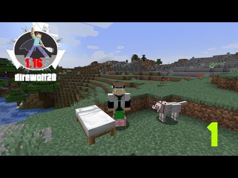 Direwolf20 Modpack 1.16 - Ep.1 - New Adventures and Doggy!
