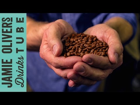 download lagu mp3 mp4 How To Make Coffee From Beans, download mp3 How To Make Coffee From Beans free download mp3, download mp3 How To Make Coffee From Beans
