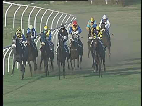Galoppo 09/08/2017 - 3ª corsa