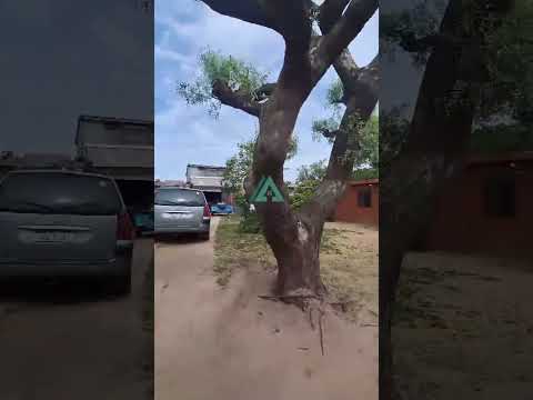 Video de YouTube - ADVANCE VENDE - SOLYMAR NORTE - 2 CUADRAS DE GIANNATTASIO