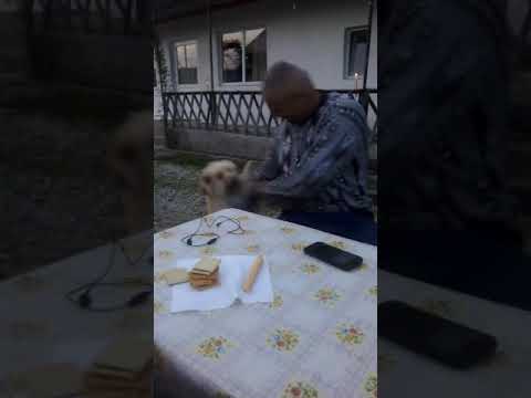 Murgasi de Paste 2019