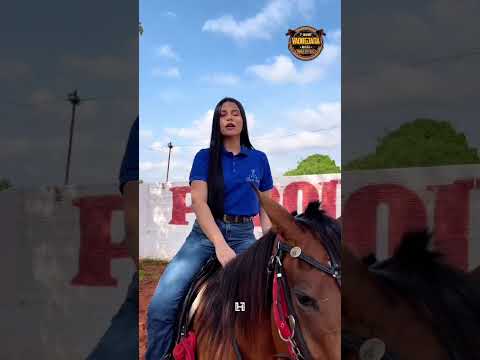 6 de dezembro de 2025: Vaquejada do Parque Zeca Jolé - Conceição - Mirador - Ma