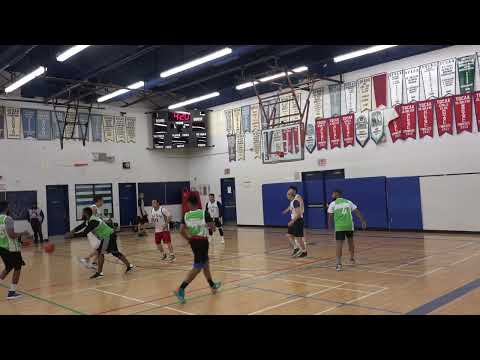 JSJ Auto vs Toronto Raccoons - sunday tier - tcbl 2022 fall