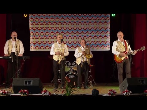 Skupina PROFIL - Letela husička