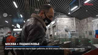 Москва + Подмосковье