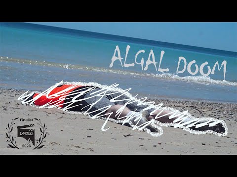 A paranoid man who encounters a strange foamy substance. | Algal Doom (Short Film)