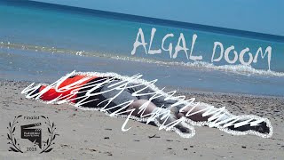 A paranoid man who encounters a strange foamy substance. | Algal Doom (Short Film)