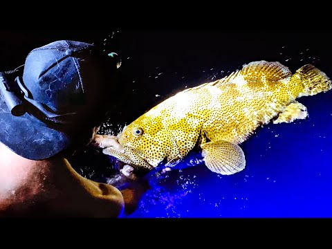 GIANT DEEP SEA GROUPER FISHING AT NIGHT Wahoo Catch And Cook (Upgrading My Car) - Ep 210