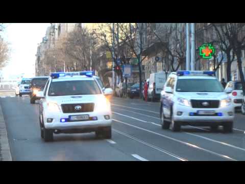 Darko Šarić uhapšen (dovođenje u zgradu Specijalnog suda u Beogradu)