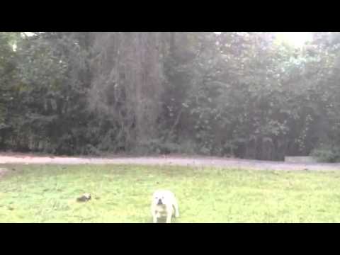 Cassius Clay 10-2 at 5:30pm