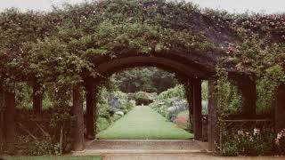 Collections - Anthony Phillips