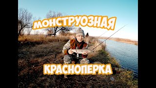 Ссылка
