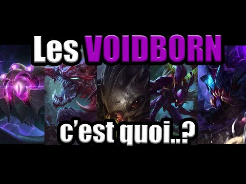 Les VOIDBORN - Tout ce qu'il faut savoir!