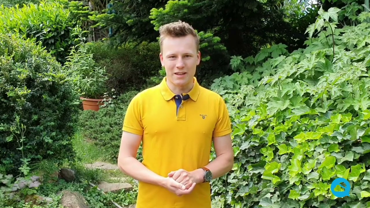 youtube video id=_o-kPcgk8Nk