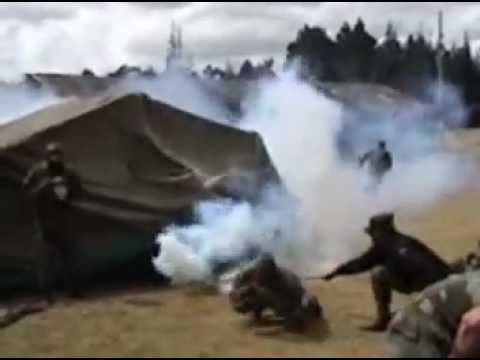 Si me preguntan quien soy le dire q soy paraca nacido en ......