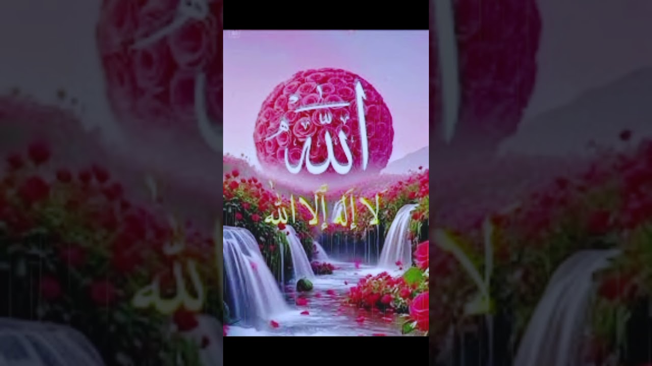 ✨ The Beautiful Names of Allah ❤️ | 99 Names of Allah | #Allah #Islam #allahnames #islamicshorts