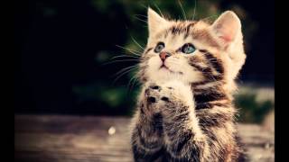 This is the Day-Alto